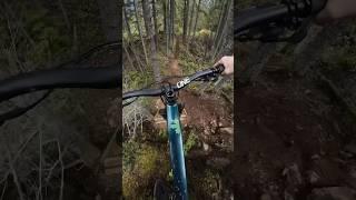 Danger trees almost ended my ride!