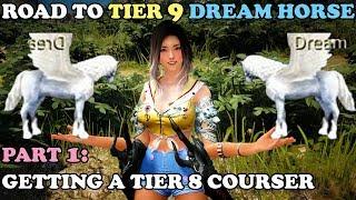 BDO - Road To Tier 9 Dream Horse Part 1: Getting a Tier 8 Courser