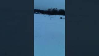 IMG 0420