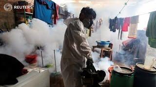 Emergency measures in Peru as dengue deaths triple | REUTERS