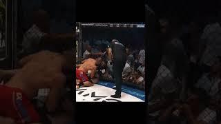 Не стал добивать. Вагаб Вагабов#shorts #mma #спорт