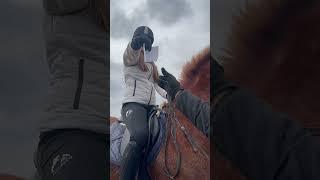 Выбор сделан  #horse #лошадки #лошади #моялошадь #equestrian #лошадь