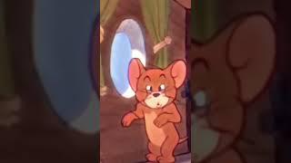 What Did Jerry see