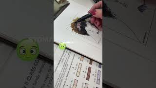 OPP is deadly for your art!