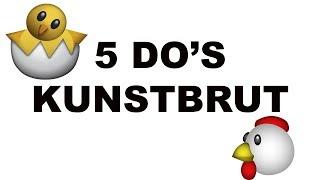 UNBEDINGT beachten beim ausbrüten von Eiern! 5 wichtige Brutmaschinen - Tipps für deine Kunstbrut