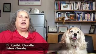 What is Animal Assisted Therapy?