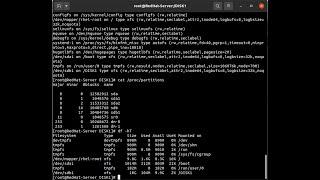 Red Hat 8 Enterprise Server - Formatting a Disk with XFS