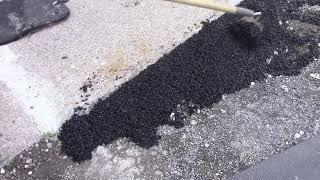 Driveway Repair, Putting a Bag of Blacktop Asphalt on a Damaged Surface