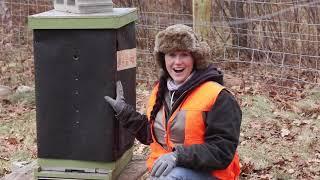 winterizing our beehive in northern Minnesota