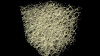 Volumetric Slime Mold Simulations