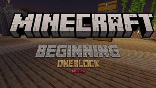 Beginning [Minecraft - OneBlock Reborn] [Timelapse] #1