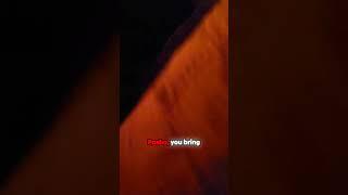 Pasha's Hilarious Tire Trouble