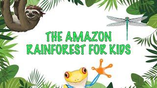 Facts about the Amazon Rainforest For kids