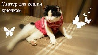 Свитер для кошки крючком. Crochet sweater for cat:-)