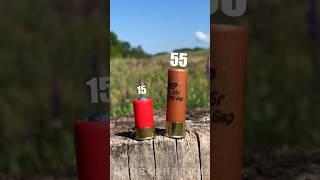 RECOIL AND DAMAGE #shotgun #asmr #bullet #buckshot #gun #hunter #usa #shooting #test