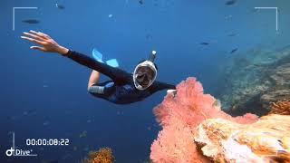 Snorkeling dan free dive nyaman menggunakan Thenice M2101 yang bisa ear equalizing