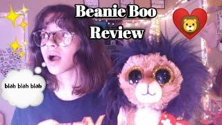 Beanie Boo Review!