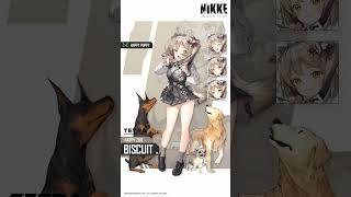 GODDESS OF VICTORY: NIKKE | Biscuit Dynamic Profile