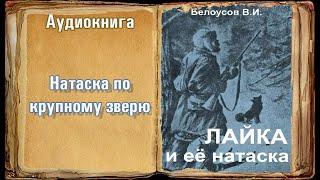 "Натаска лаек по крупному зверю" "Лайка и её натаска" Белоусов В.И