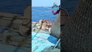 Live fishes hunted on sea #seafishing #livefishing #viral #netfishing #shorts #ytshorts @KadalTv