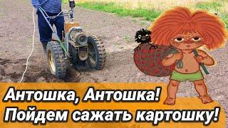 Посадка Картофеля ЭЛЕКТРОБЛОКОМ! Без КАРТОФЕЛЕСАЖАЛКИ