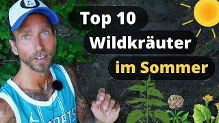 Essbare Wildkräuter im Sommer: Meine Top 10 Heilpflanzen inkl. Gundermann, Brennnessel uvm.