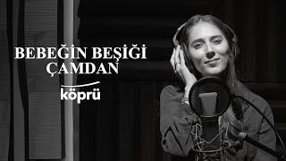 Bebeğin Beşiği Çamdan - Zümre Meğreli [Köprü Müzik Stüdyo Akustik Klipler©️2024 Köprü]