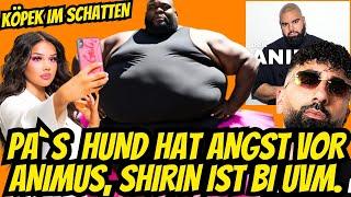 #777-780 PA`S HUND HAT ANGST VOR ANIMUS, SHIRIN IST BI, WAHL-TALK UVM. - DER ANIMUS PODCAST