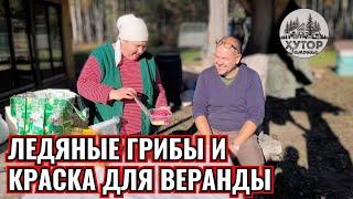 ЛЕДЯНЫЕ ГРИБЫ И КРАСКА ДЛЯ ВЕРАНДЫ