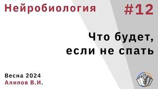 Нейробиология обучения 12. Что будет, если не спать