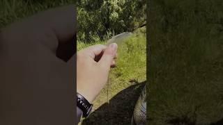Лайфхак для донной оснастки