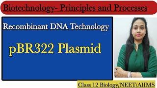 pBR322 Plasmid | Cloning Vectors | Biotechnology: Principles and Processes | Class 12 Biology/NEET