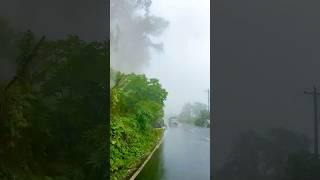 peaceful kodaikanal road  #youtube #shorts #trending #video #travel #hillroad