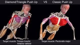 Бриллиантовые отжимания сравнение с обычными отжиманиями (обучение 3)