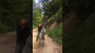 Horseback riding tour with Hidalgo horseback riding club in Sarajevo