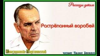 Растрёпанный воробей— Константин Паустовский —читает Павел Беседин