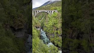 Wild and crystal clear water  #nature #river #stream #norway #spring #wonder #shorts