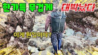 으슥한 해변 예상못한 비싼 최고급 자연산을 잔뜩 잡았습니다