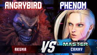 SF6 ▰ ANGRYBIRD (Akuma) vs PHENOM (Cammy) ▰ High Level Gameplay