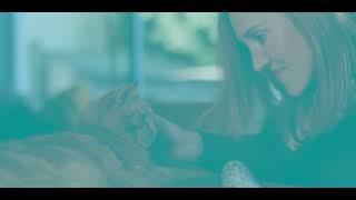 Connect With Your Pet Campaign Web Header