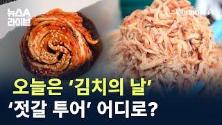 오늘은 ‘김치의 날’…김장철 ‘젓갈 투어’ 어디로? / 채널A / 뉴스A 라이브