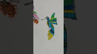 Colibri art draw