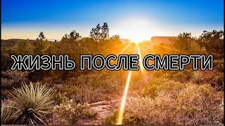 Жизнь после Смерти