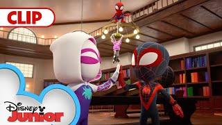 The Case of the Burgling Book Bandit  | Marvel Spidey And His Amazing Friends | @Disney Junior