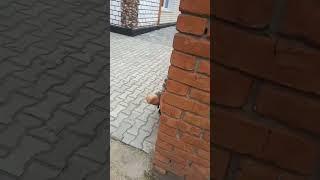 Dy4i смачно насрал
