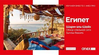 Египет 2023. Сеть отелей Sunrise Resorts & Cruises в Шарм-эль-Шейхе