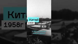 Что произошло после УНИЧТОЖЕНИЯ воробьев? #биология