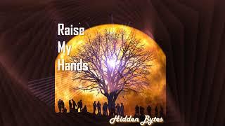 Hidden Bytes - Raise My hands