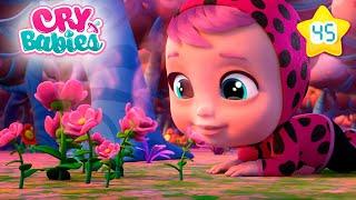 Perfume Floral  CRY BABIES  MAGIC TEARS  DESENHO INFANTIL