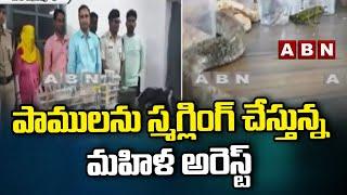 పాములను స్మగ్లింగ్ చేస్తున్న మహిళ అరెస్ట్ || Jamshedpur || ABN Telugu